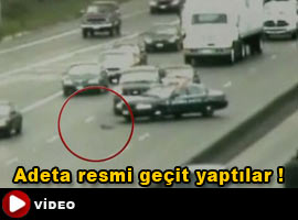 Ördekler için trafiği durdurdular! - İZLE