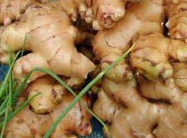 Bin derde deva baharat