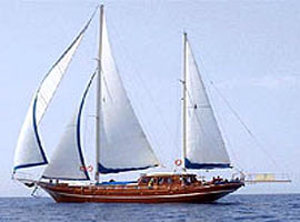 Bodrum guletleri kapışılıyor 