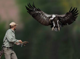 İnternette bu fotoğraflar paylaşılıyor!