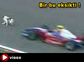 Dünya piste giren köpekleri izliyor !