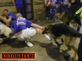 Kupayı kaybedince böyle oldu !