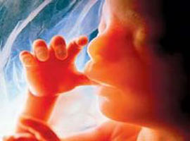 Böylesi ne görüldü ne duyuldu!