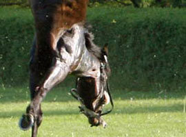 Akrobatlara taş çıkarttı ! - O AN