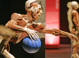 Spor yapan cesetler şaşırtıyor!