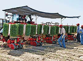 Özel sektör GAP'a  yöneldi