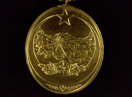 Gaziantep, İstiklal Madalyası'na kavuştu