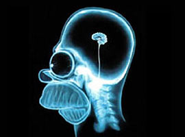 İnsan zekası geriliyor