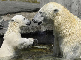 İşte haftanın en iyi fotoğrafları