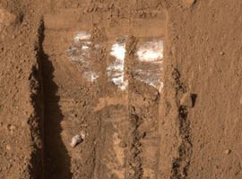 Phoenix, Mars'ta buz buldu
