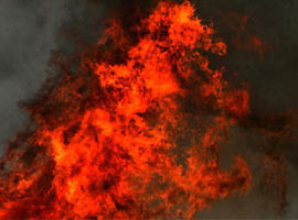 Gelibolu Milli Park alanında yangın 