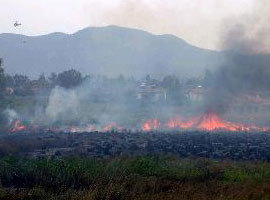 Orman yangınında 5 köy boşaltıldı  	