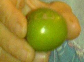 Bence bu Allah'ın bir hikmeti !