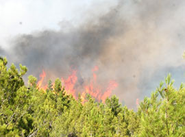 İzmir'deki yangın kısmen kontrol altında  