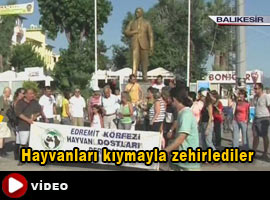 Balıkesir'de hayvan katliamı - İZLE