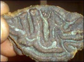 Görenler hayrete düşüyor !