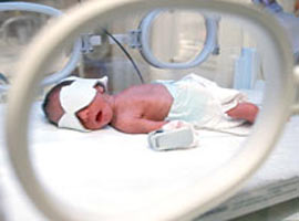 27 bebeğin esrarengiz ölümü 