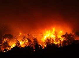 Yangınların tek tesellisi  var o da...