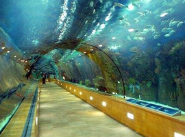 Kayserili böylesini görmedi