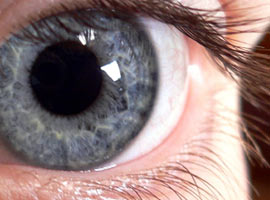 Ölüme davetiye çıkarmayın !