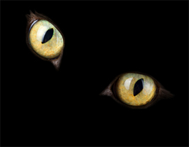 'Oda' değil 'kayıt stüdyosu' !!!