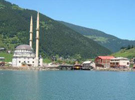 Karadeniz'de kanser alarmı !