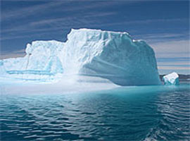 Buz ada Grönland bir zamanlar ormanmış 
