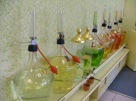 Kolonyadaki bilinmeyen büyük tehlike