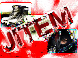 JİTEM, Türkiye'ye neye mal oldu?