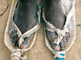 İşte dünyanın utandıran yüzü! 