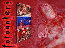 Kan kırmızısı EĞLENCE (!)  - Kareler