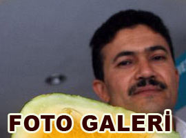 Esnafı şaşkına çeviren kavun - Foto