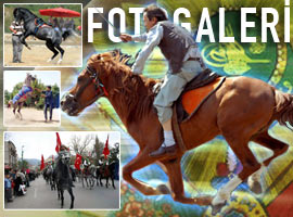 Osmanlı atları özel yetiştiriliyor - Foto