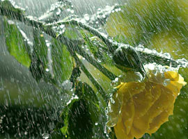 Meteoroloji'nin bu uyarısına dikkat!