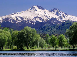 100 yıl sonunda yeniden ortaya çıktı