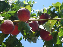 İşte Eylül ayının zam şampiyonu
