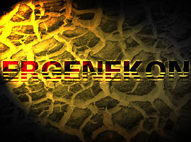 Ergenekon'da yeni gözaltılar