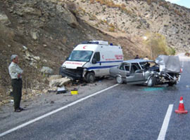 Kurt saldırdı, sonra ambulans çarptı !