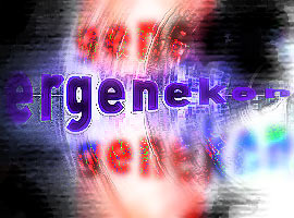 Ergenekon sanığı salondan atıldı !