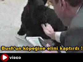 Bush'un köpeği muhabiri ısırdı - O AN 