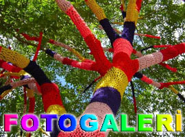 Tek kelimeyle 'Sıradışı'  - Foto