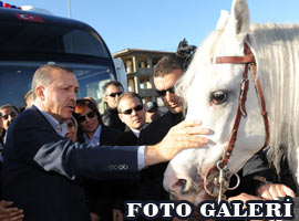 Başbakan temkinli yaklaştı - Foto