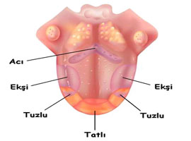 Bu bilgiler <B>'yalan'</B> oldu