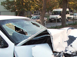 Trafik kazasıyla ortaya çıkan vahşet!