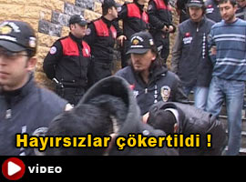 Hayır kurumlarını soyan çete çökertildi - Video