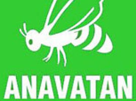 Anavatan'da istifa şoku