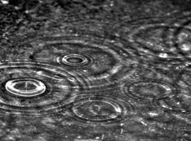 İstanbul'da yağmur bereketi