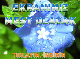 Masaüstünü renklendir ! <b>TIKLA İNDİR</b>