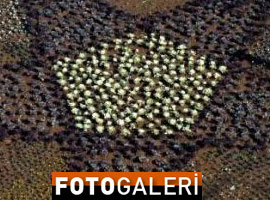 Diyarbakır'ın göbeğine PKK bayrağı mı?