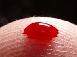 Kan grubu <b>çılgınlığı</b>